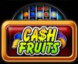 Cash Fruits Merkur My Top Game