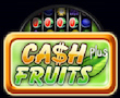 Cash Fruits Plus Merkur My Top Game