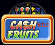 Cash Fruits Wild Merkur My Top Game