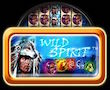 Wild Spirit Merkur My Top Game