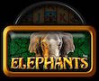 Elephants Merkur My Top Game